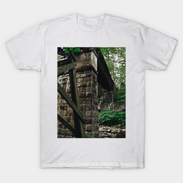 Bridging Eternity T-Shirt by PaulLu